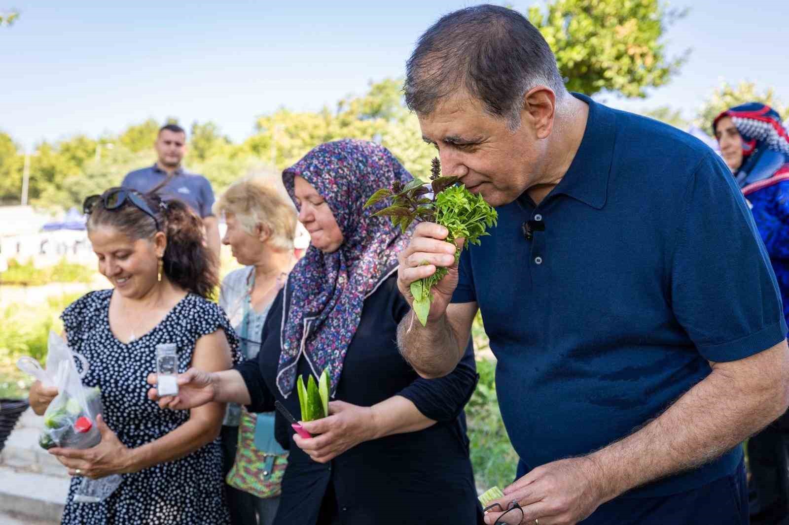 Toprakla buluşan kadınların hasat sevincine Başkan Tugay da ortak oldu