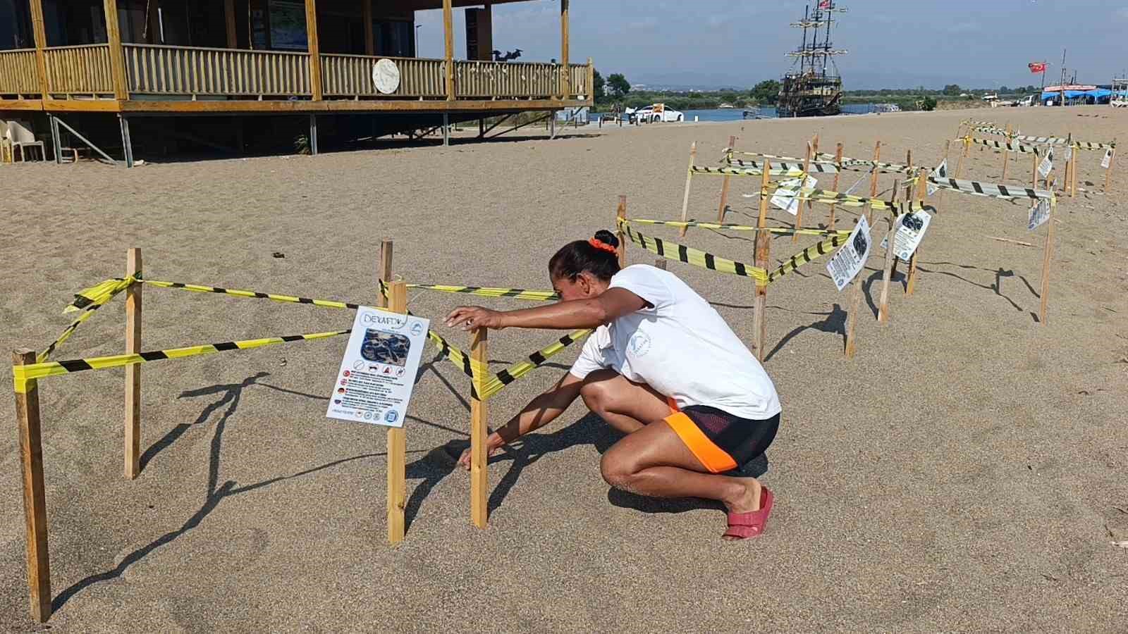 Manavgat’ta caretta caretta yavrularına koruma nöbeti