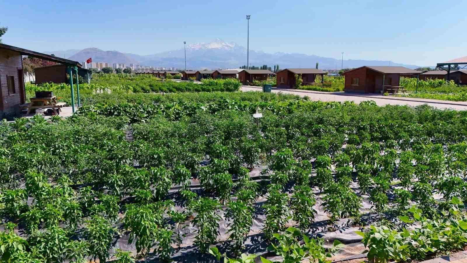 Kayseri Büyükşehir’in doğal ürünler pazarı 25 Temmuz’da kapılarını açıyor
