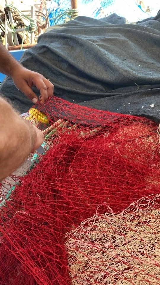 Didim’de balık ağları kontrol edildi