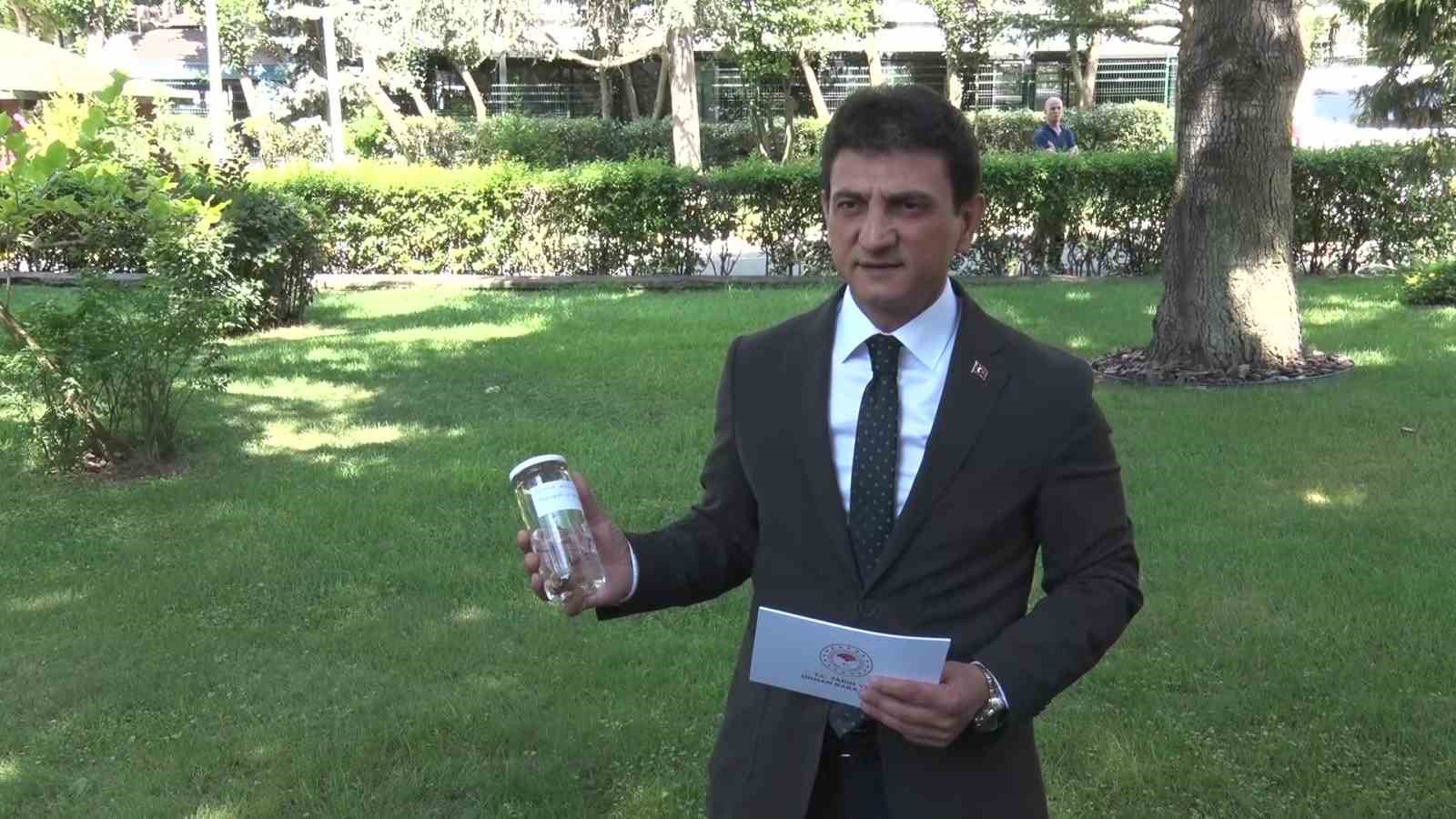 İstanbul İl Tarım ve Orman Müdürü Parıldar: "İstanbul’umuzda herhangi bir çekirge istilasından bahsetmek mümkün değil"