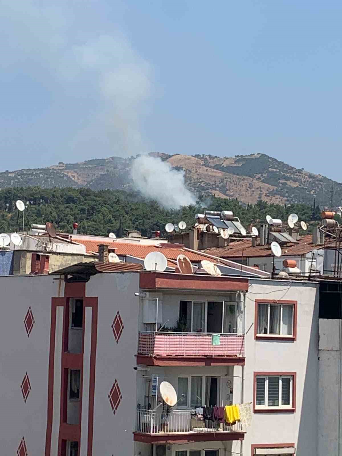 Mesire alanındaki yangın kısa sürede söndürüldü
