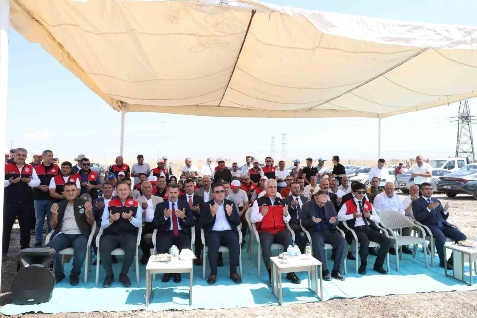 Hububat hasadından Muş ekonomisine 11 milyar liralık katkı bekleniyor