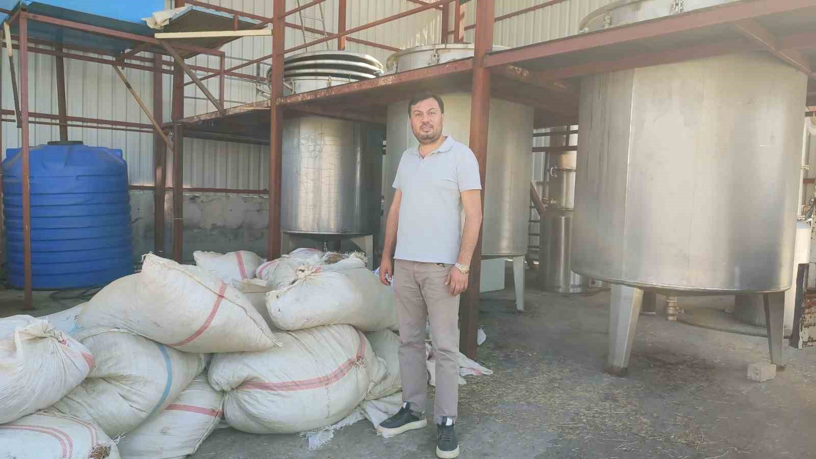 Kaliteli kekiğin dünya pazarında her zaman alıcısı var
