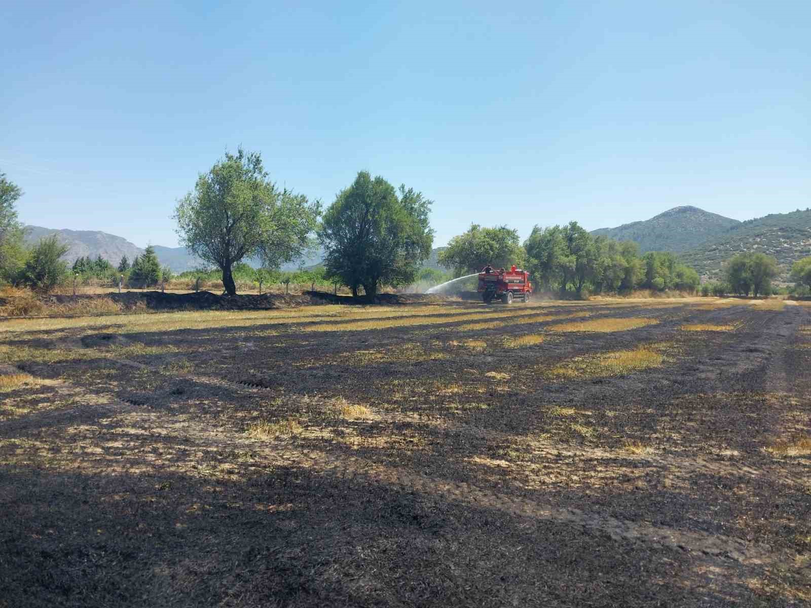 Burdur’da tarlada yangın