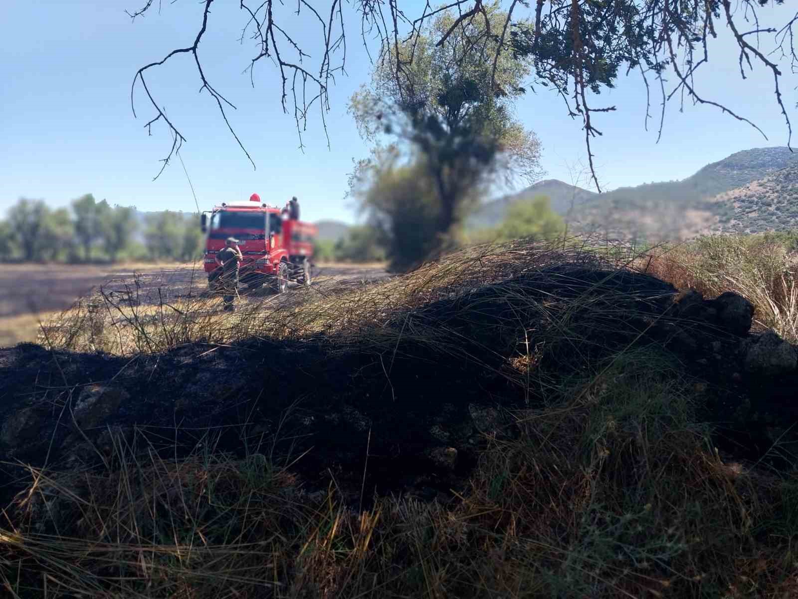 Burdur’da tarlada yangın