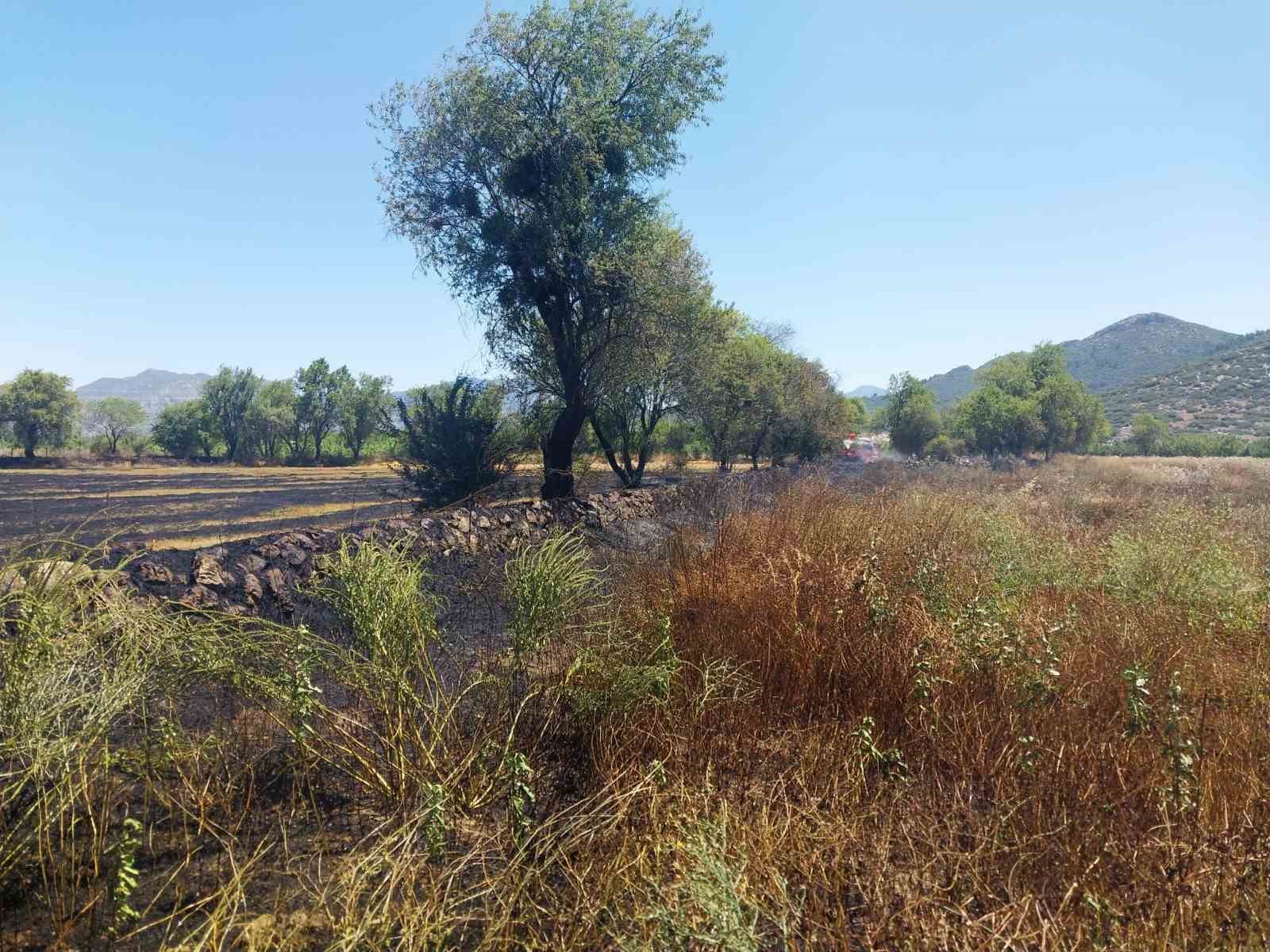 Burdur’da tarlada yangın