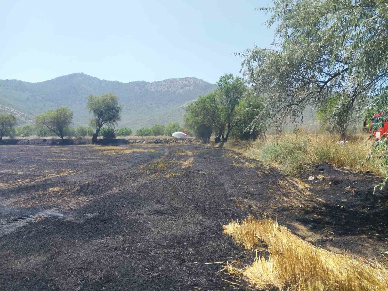 Burdur’da tarlada yangın