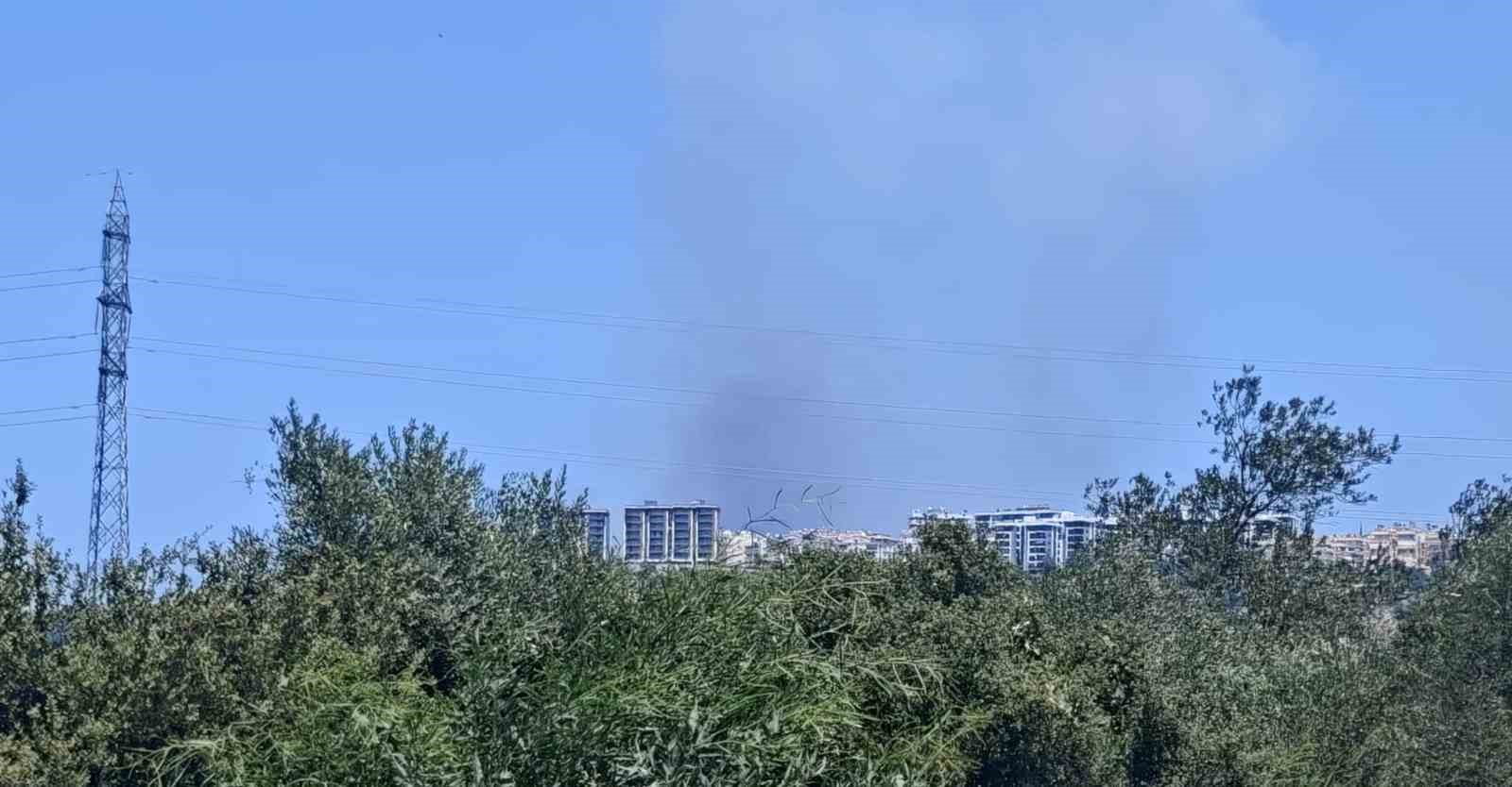 Antalya’da ormanlık alanda yangın