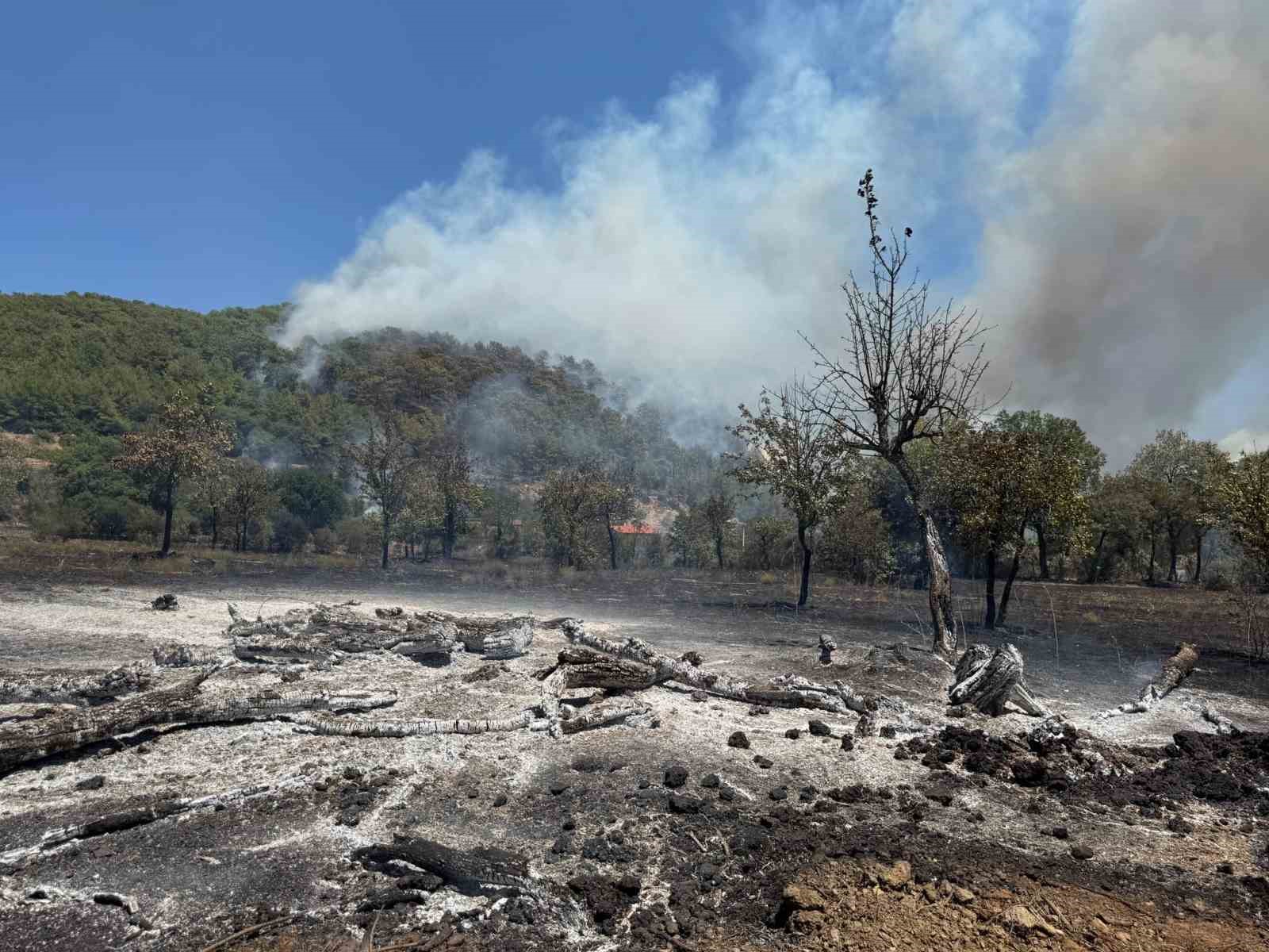 Fethiye’de orman yangınını söndürme çalışmaları sürüyor