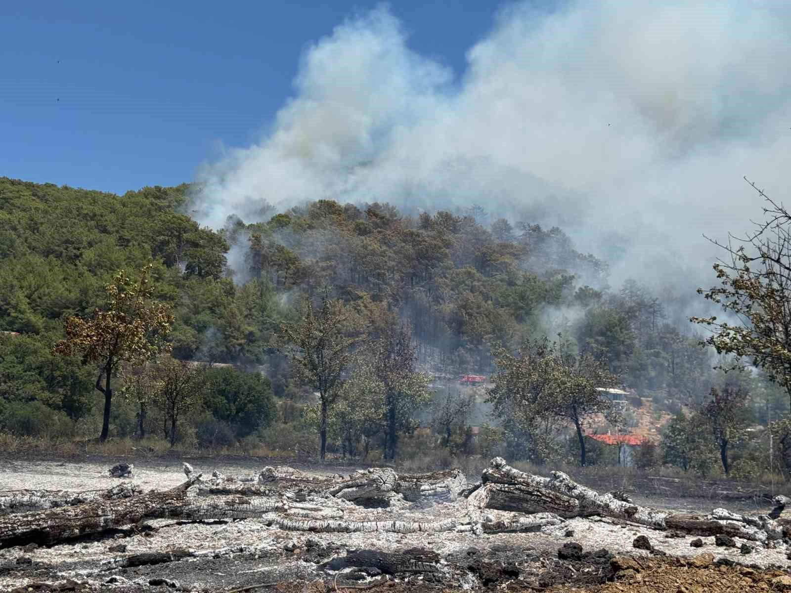 Fethiye’de orman yangınını söndürme çalışmaları sürüyor