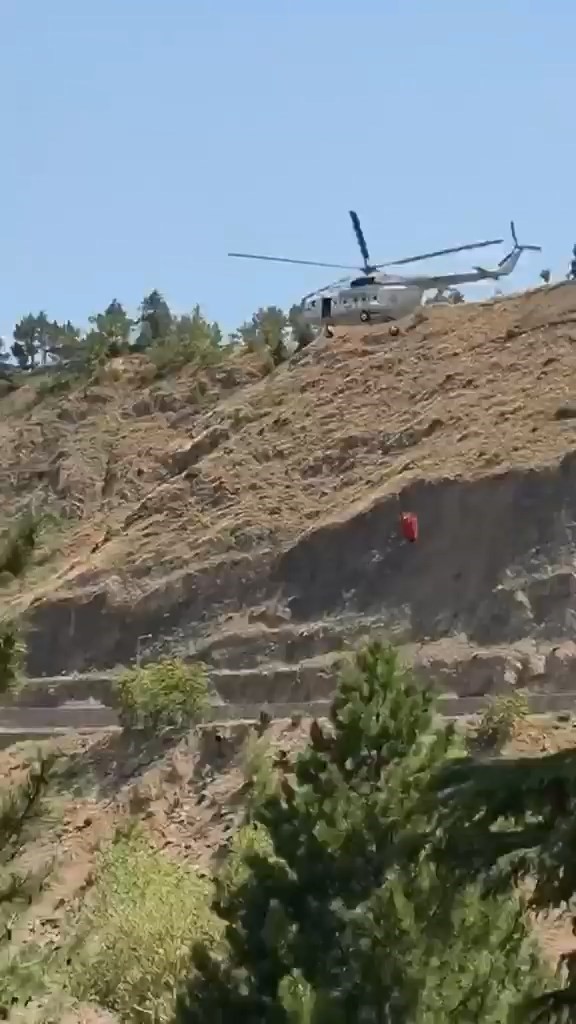Elazığ’daki dağlık alan yangınına havadan müdahale başladı