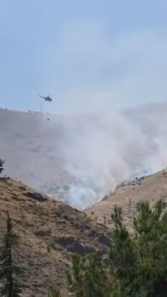 Elazığ’daki dağlık alan yangınına havadan müdahale başladı