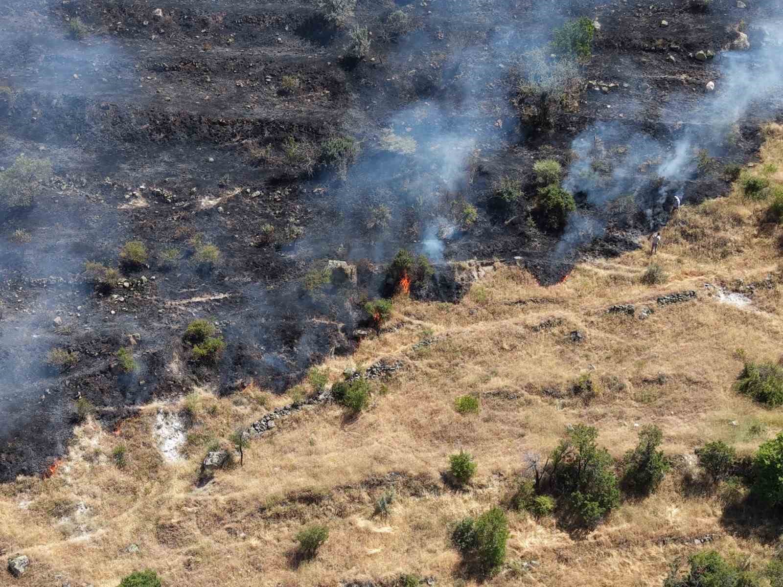 Afyonkarahisar’da otluk alandaki yangın bağ evlerine sıçradı