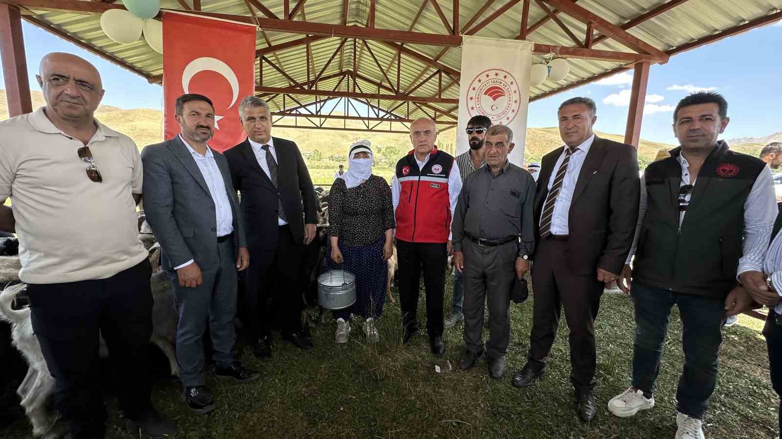 Yüksekova’da berivanlar gölgeliğe kavuştu