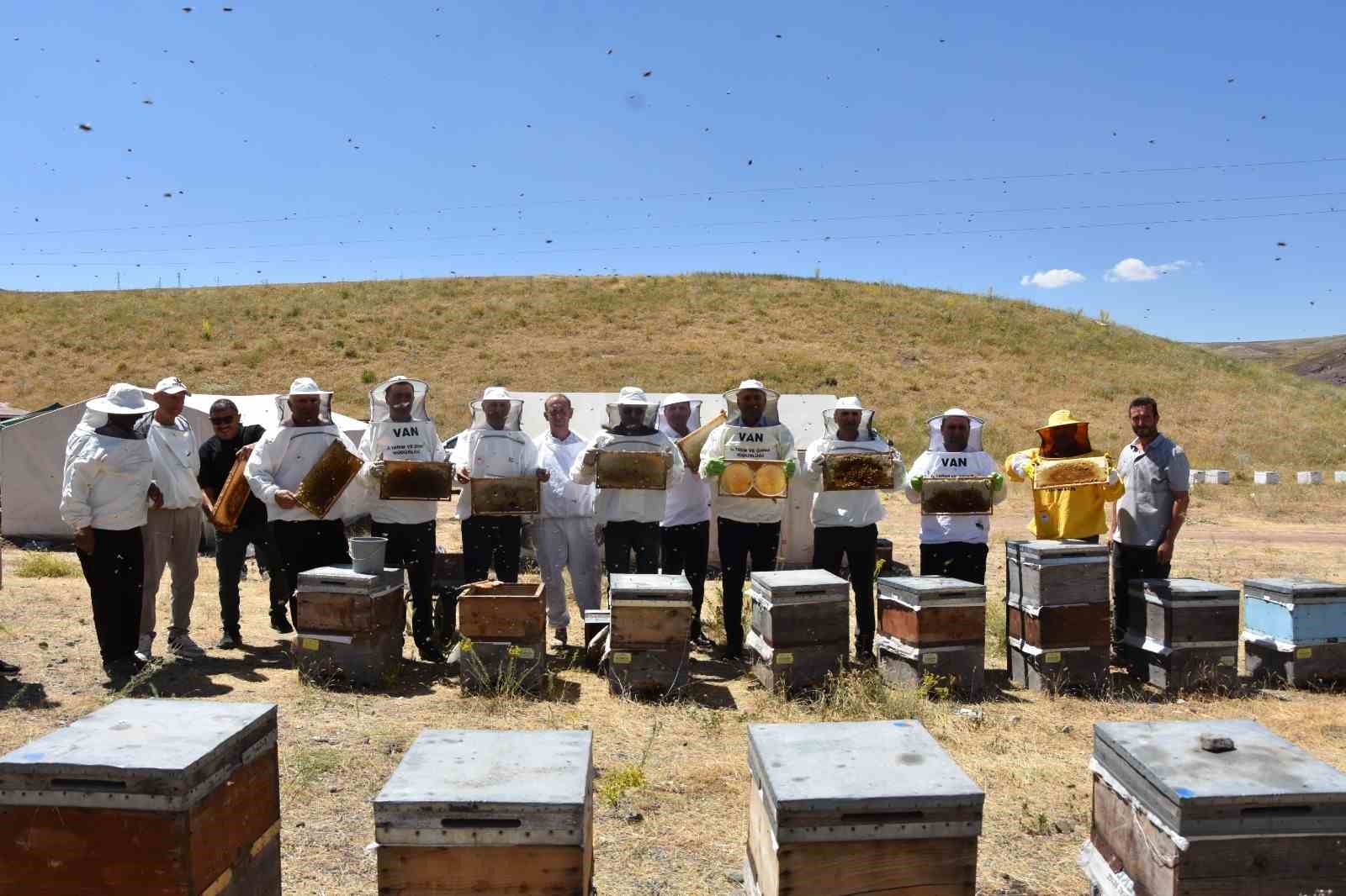 Ordulu arıcılardan ülke ekonomisine 7 milyar TL’lik katkı