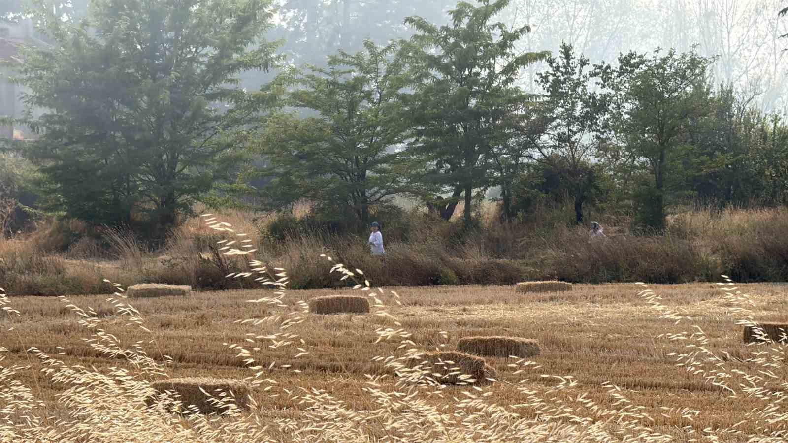 Eskişehir’de anız yangını: Alevler milyar dolarlık fabrikaya 200 metre kala durduruldu