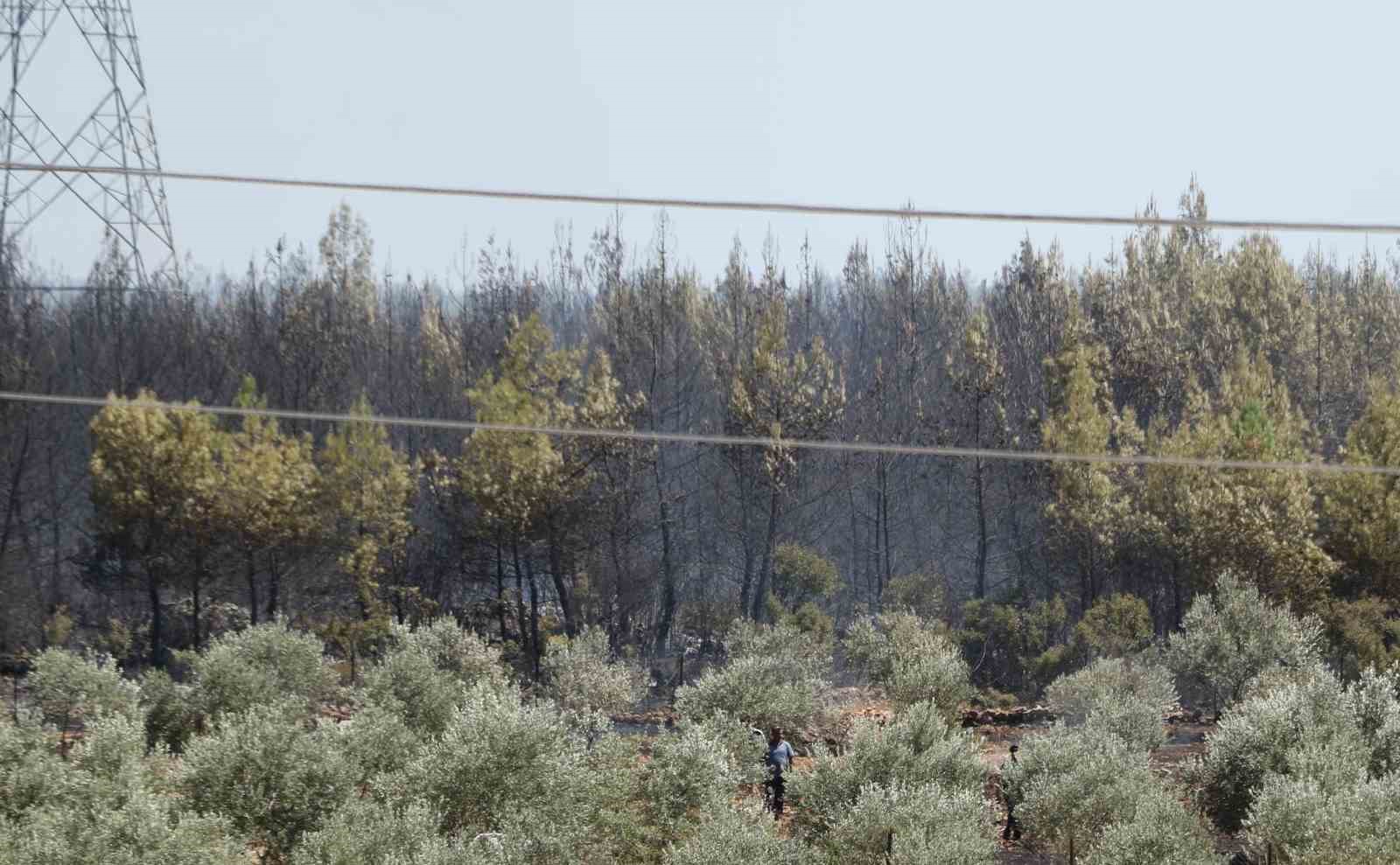 Antalya’da ormanlık alandaki yangın kontrol altına alındı