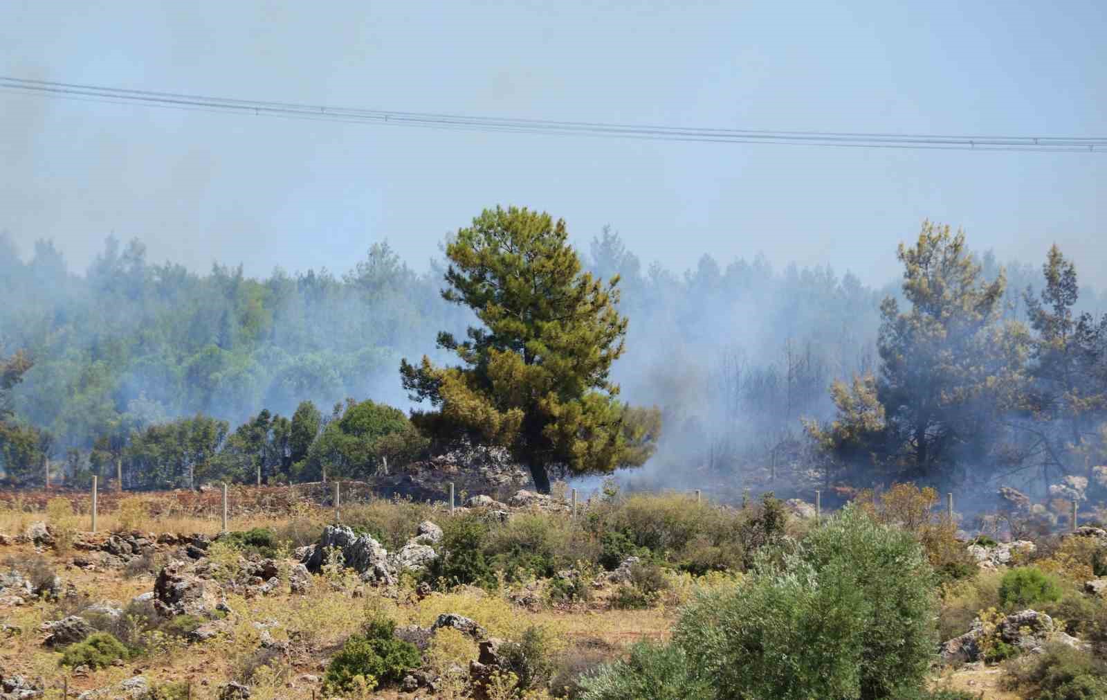 Antalya’da ormanlık alandaki yangın kontrol altına alındı